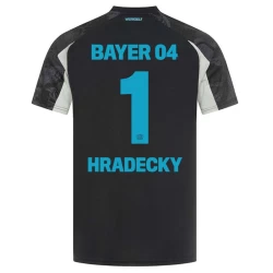 Bayer 04 Leverkusen Fußballtrikot Hradecky #1 2024-25 Ausweichtrikot Herren