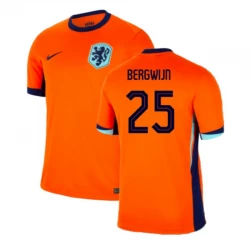 Bergwijn #25 Niederlande Fußballtrikots EM 2024 Heimtrikot Herren
