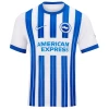 Brighton Hove Albion Van Hecke #29 Fußballtrikot 2024-25 Heimtrikot Herren