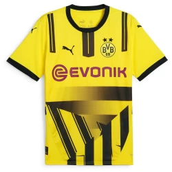 BVB Borussia Dortmund Fußballtrikot 2024-25 Cup Ausweichtrikot Herren