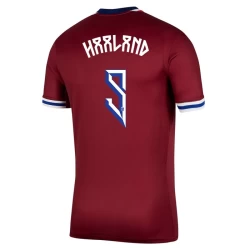 Norwegen Erling Haaland #9 Fußballtrikot 2024 Heimtrikot Herren