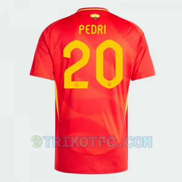 Pedri #20 Spanien Fußballtrikots EM 2024 Heimtrikot Herren