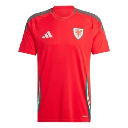 Wales Fußballtrikot 2024 Heimtrikot Herren