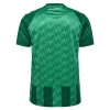 Werder Bremen Fußballtrikot 2024-25 Heimtrikot Herren